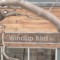 Windup Bird Cafe